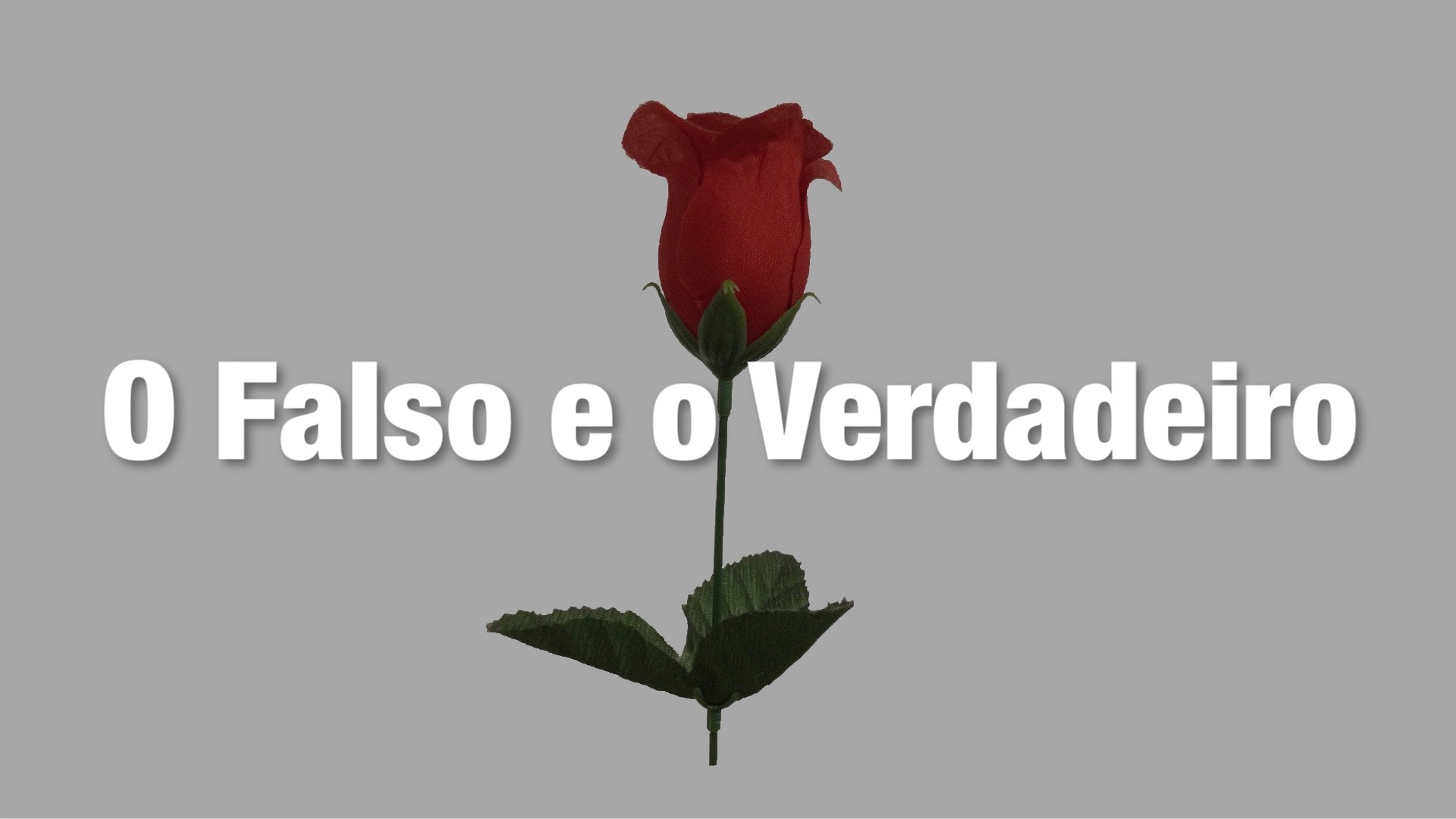 No Mundo O Falso Eo Verdadeiro Se Confundem